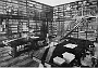 Biblioteca dell'Istituto di Fisiologia anni trenta interno (Laura Calore)